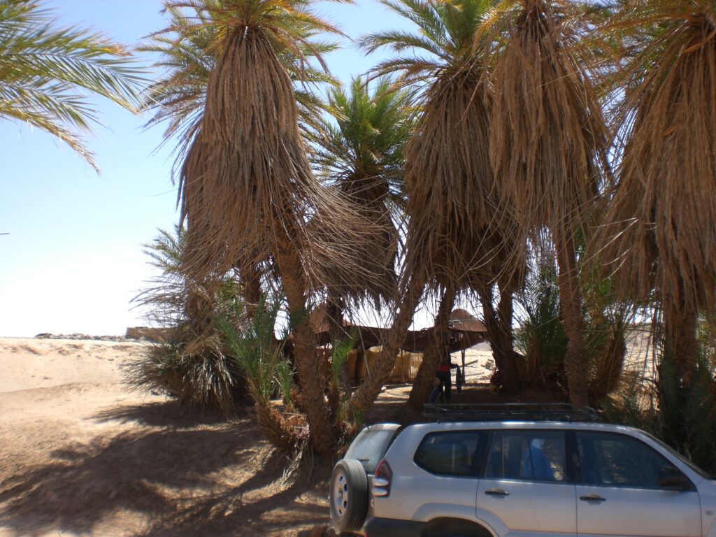 8 Tage Geländewagentour ab Agadir