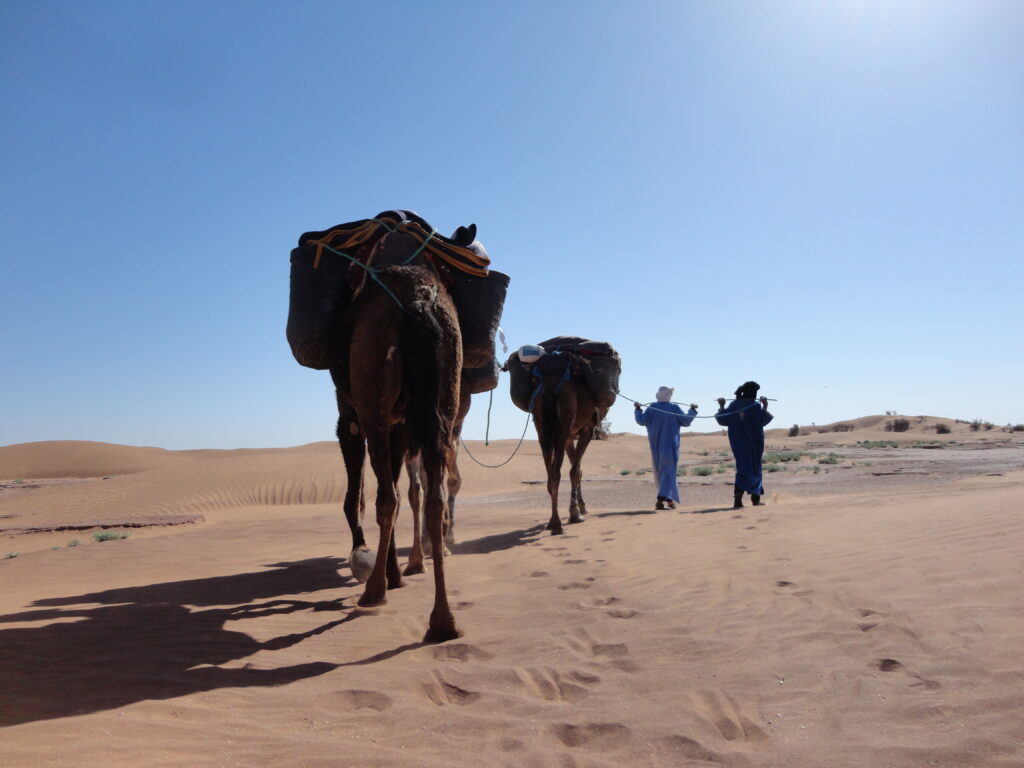Morokko Wüste
